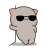 😎