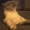 🥵