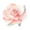 🌹