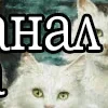 😻