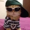 😎