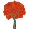 🌳