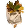 🍂