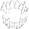 🦷