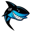 🦈