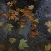 🍂