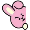 🐰