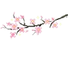 🌸