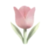 🌷