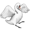 🦢