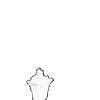 ⭐