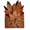 🍁