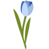 🌷