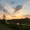 🌅