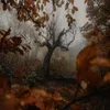 🍂
