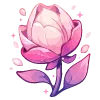 🌹