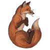 🦊