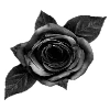 🌹
