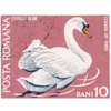 🦢