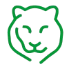 🐯