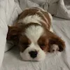 😴