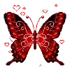 🦋