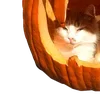 🎃