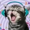 🎵