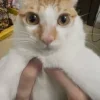 😺
