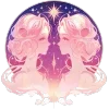 ♊️