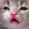 😁