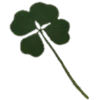 🍀