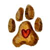 🐶