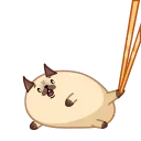 🍚