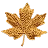🍁