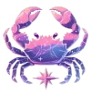 ♋️
