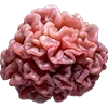 🧠