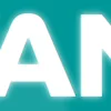 👌