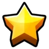 🌟