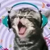 🎵