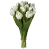 🌷