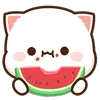🍉