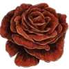 🌹