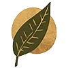 🍃