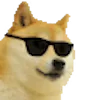 🐶