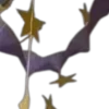 🌟