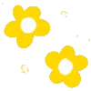 🌺