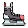 ⛸️