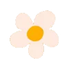🌺