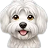 🐕
